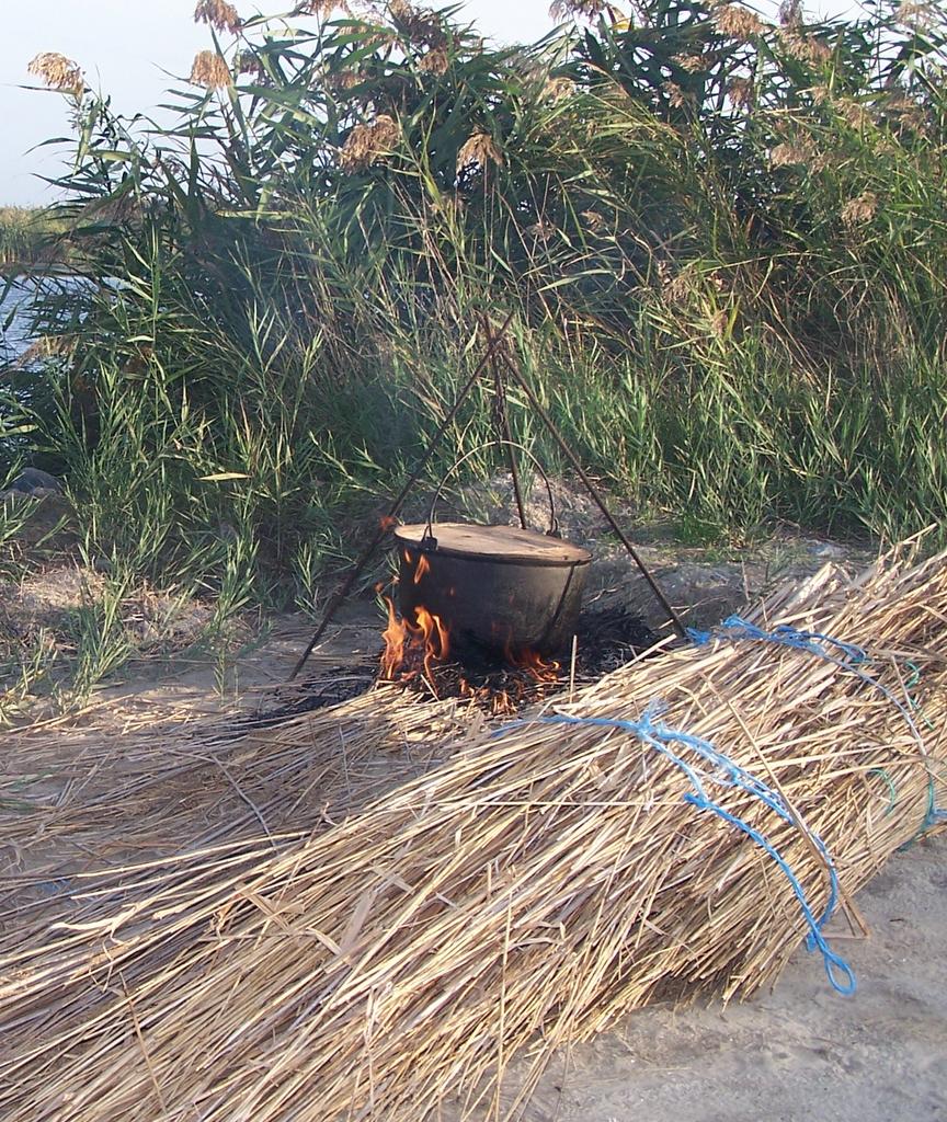 DIN DELTA - 3b8bre2.jpg